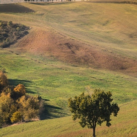 Campagna modenese in autunno